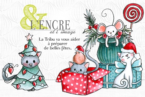 2025_11-home-horizontale-tribu-bdef