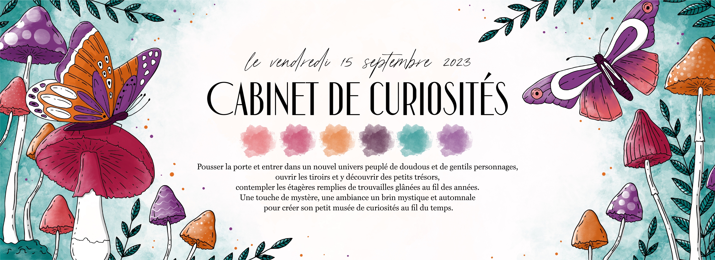 banniere_cabinet_curiosites