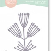 Die « Pimprenelle »