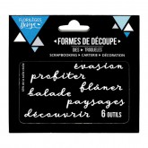 Die « Flâner »