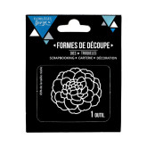 Fleur magnifique