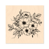 Cosmos fleurs