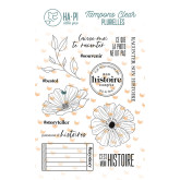 Clear « Passeuse d’histoires »