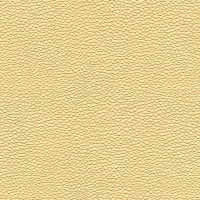 Papier texturé – Tapioca