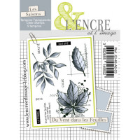 Du Vent dans les Feuilles