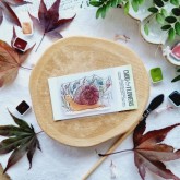 Clear &laquo;&nbsp;l&rsquo;escargot&nbsp;&raquo;