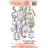 Clear Ouvrez la cage aux oiseaux