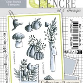 Collection d&rsquo;automne